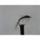 Nymphs w d  nymph $2.34