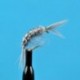 Nymphs Scud Grey $2.34