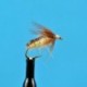 Nymphs Maggot $2.34