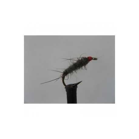 Nymphs hot butt bug hares ear $2.34