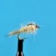 Nymphs Hares Ear Light Ribbed Nymph $2.34