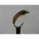 Nymphs amber and olive super wtd czech nymph $2.34