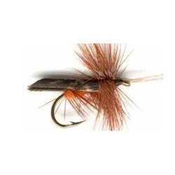 Dries dark brown hornded caddis button $2.50