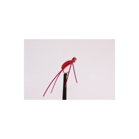 Dries red corixa foam $2.50