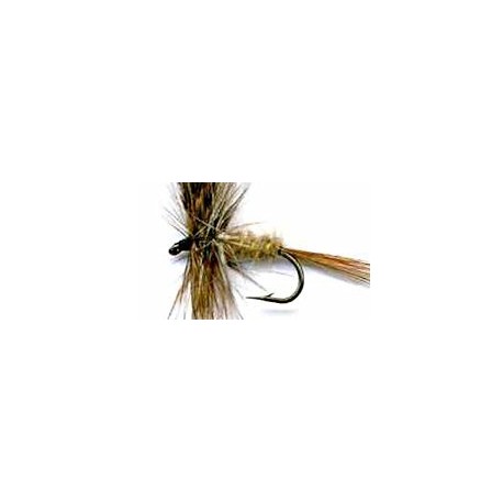 Dries march brown buton $2.50