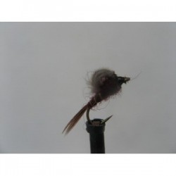 Dries claret emerger cdc $2.50