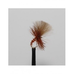 Dries fiery brown grunter $2.50