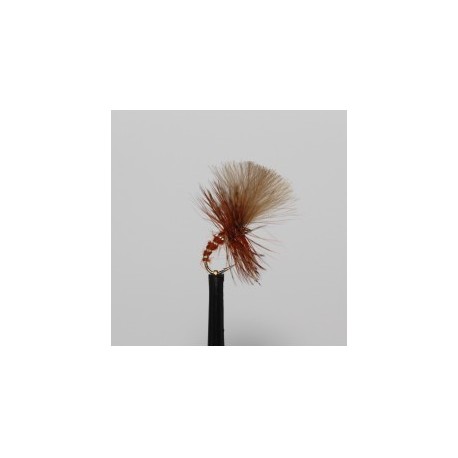 Dries fiery brown grunter $2.50