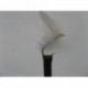Dries white moth dry $2.50