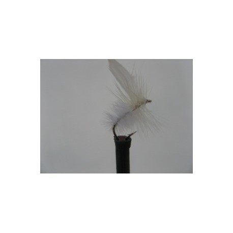 Dries white moth dry $2.50