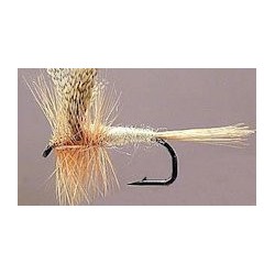 Dries light cahill button $2.50