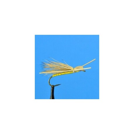 Dries Madam X  Yellow $2.50