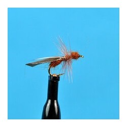 Dries Cinnamon Flying Ant $2.50