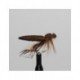 Dries orange foam daddy $2.50