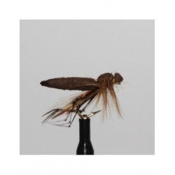 Dries orange foam daddy $2.50