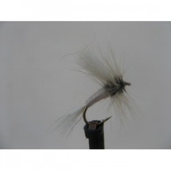 Dries wulff white dry $2.50