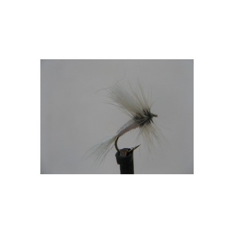 Dries wulff white dry $2.50