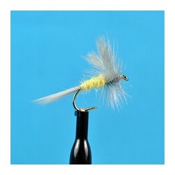 Dries Pale Morning Dun $2.50