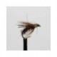 Dries black midas dry $2.50
