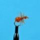 Dries Brown Ant $2.50