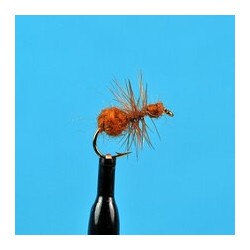 Dries Brown Ant $2.50