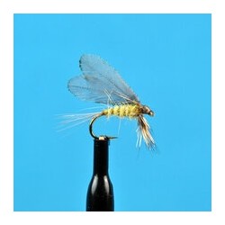 Dries Burnt Wing Pale Evening Dun $2.50