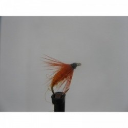 Dries carrot fly dry $2.50