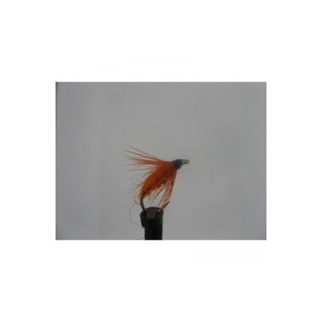 Dries carrot fly dry $2.50