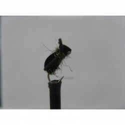 Terrestrials kicking peacock foam beetle $3.00
