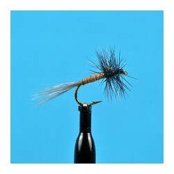 Dries Dun Variant $2.50