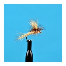 Dries Water Walker $2.50