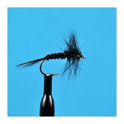 Dries Black Quill $2.50