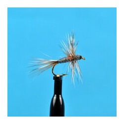 Dries Thorax Dun Adams $2.50
