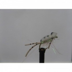 Dries white corixa foam $2.50