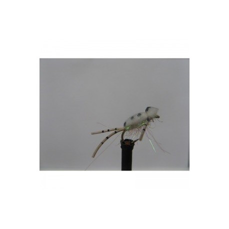 Dries white corixa foam $2.50
