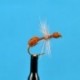 Dries Cinnamon Ant $2.50