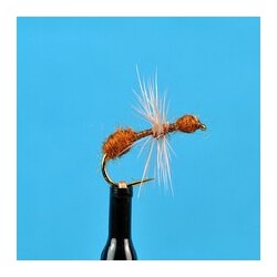 Dries Cinnamon Ant $2.50