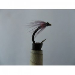 Dries annorexic orange spider $2.50
