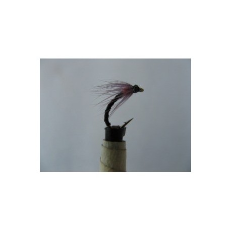 Dries annorexic orange spider $2.50
