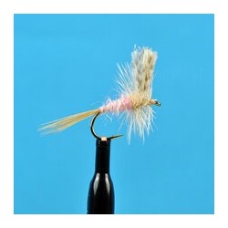 Dries Pink Cahill $2.50