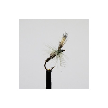 Dries ians straggler $2.50