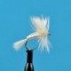 Dries Humpy White $2.50