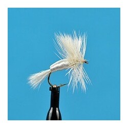 Dries Humpy White $2.50