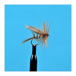 Dries Beaverkill $2.50