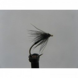 Dries black holo green thorax spider $2.50