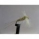 Dries spinner hares ear dry $2.50