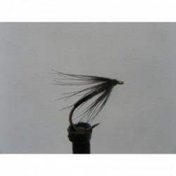 Dries black holo gold thorax spider $2.50