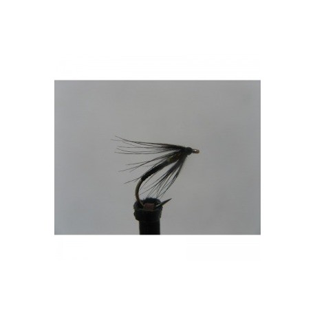 Dries black holo gold thorax spider $2.50