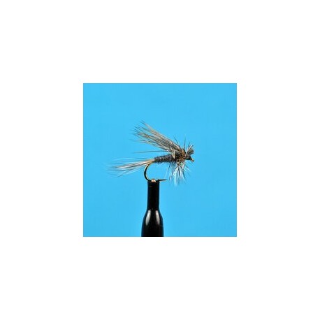 Dries Ugly Duckling Adams $2.50