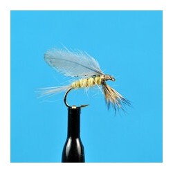 Dries Burnt Wing PMD $2.50